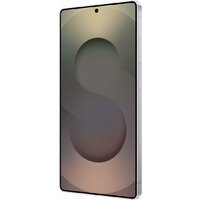 Samsung Galaxy S25 Ultra SM-S938N 12GB/256GB (серебряный титан) Image #8