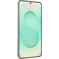 Samsung Galaxy S25 SM-S931N 12GB/256GB (мятный) Image #4