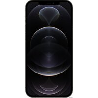 Apple iPhone 12 Pro Max 256GB (графитовый) Image #2