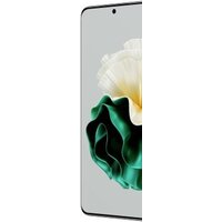 Huawei P60 LNA-LX9 8GB/256GB (зеленый) Image #6