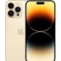 Apple iPhone 14 Pro Max 128GB (золотистый)
