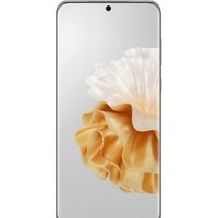 Huawei P60 Pro MNA-LX9 Dual SIM 8GB/256GB (жемчужина рококо) Image #7