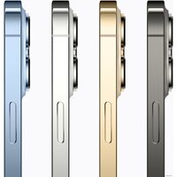 Apple iPhone 13 Pro 256GB (золотой) Image #8